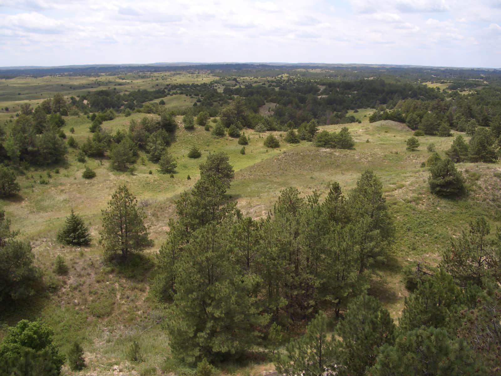 Nebraska National Forest in Nebraska