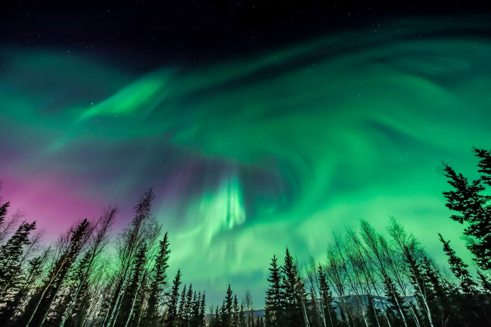 Northern Lights Alaska