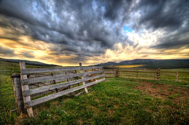 Montana History