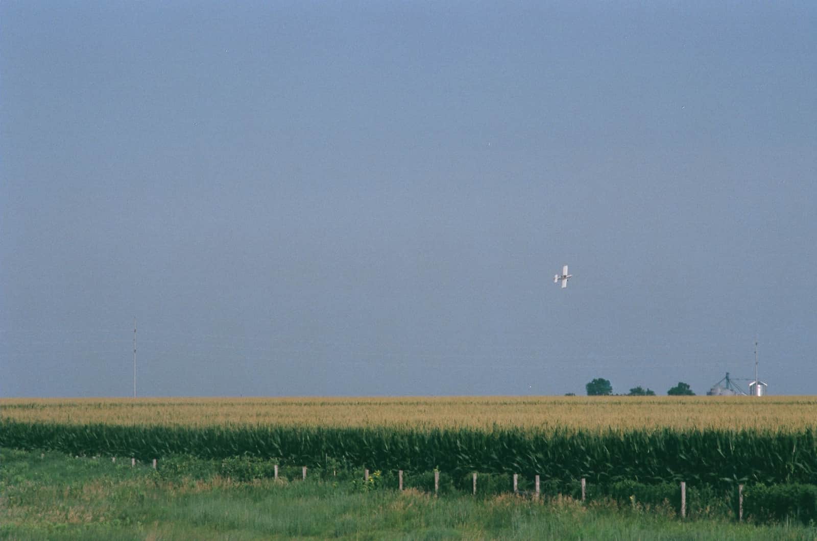 Outstanding field in Nebraska