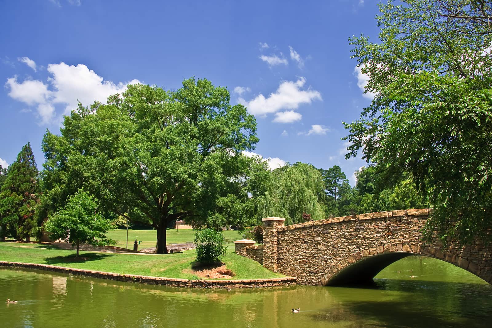 Freedom Park Charlotte North Carolina