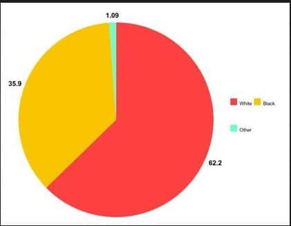 Demographics