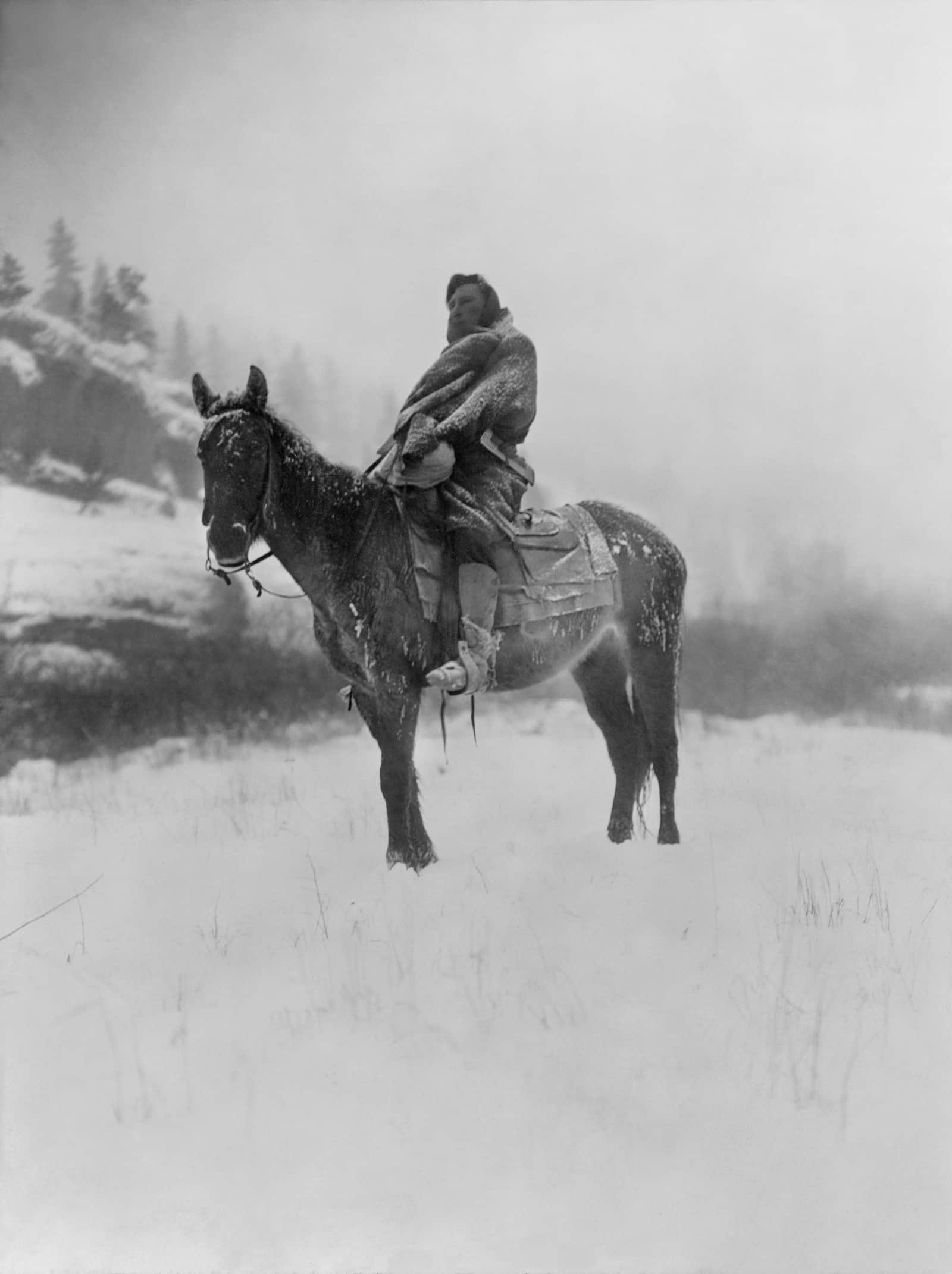 History of Montana