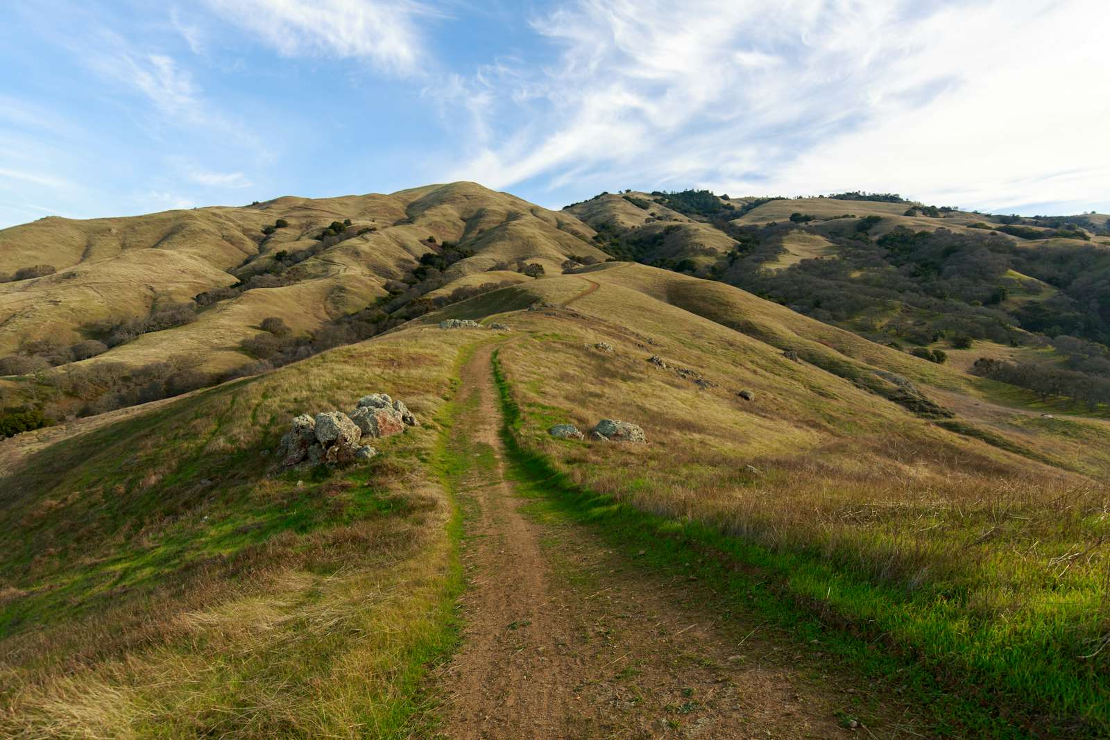 Mount Diablo Trail Contra Costa California