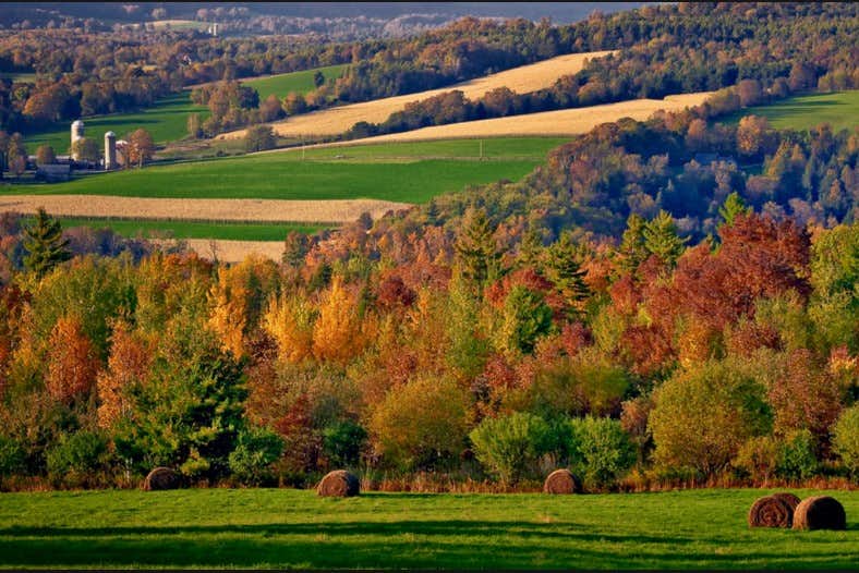 Top Reasons to Buy Land in Vermont