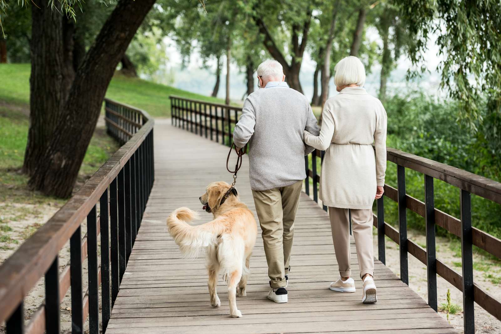 couple walking with cute dog across wooden bridge in park