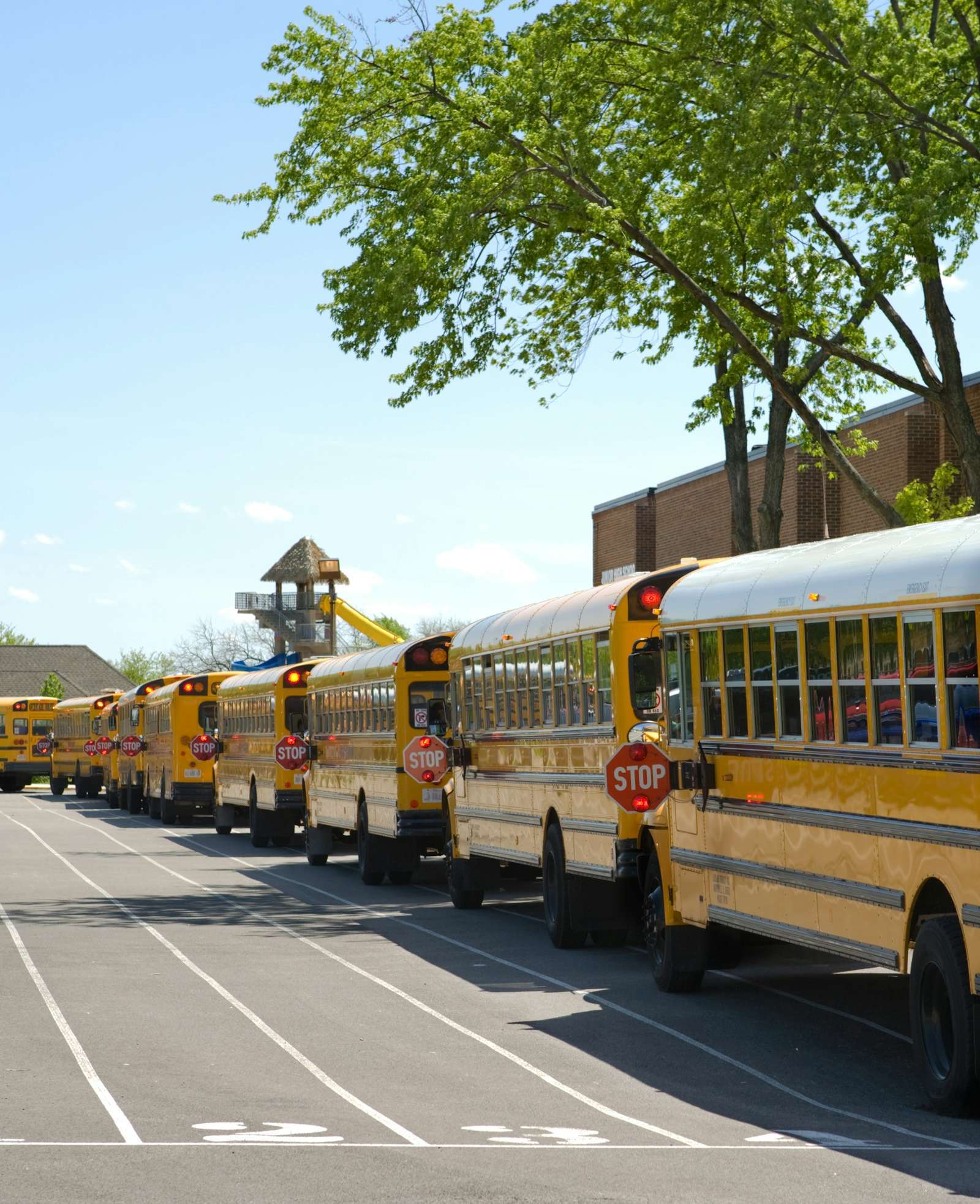 School Bus Illinois