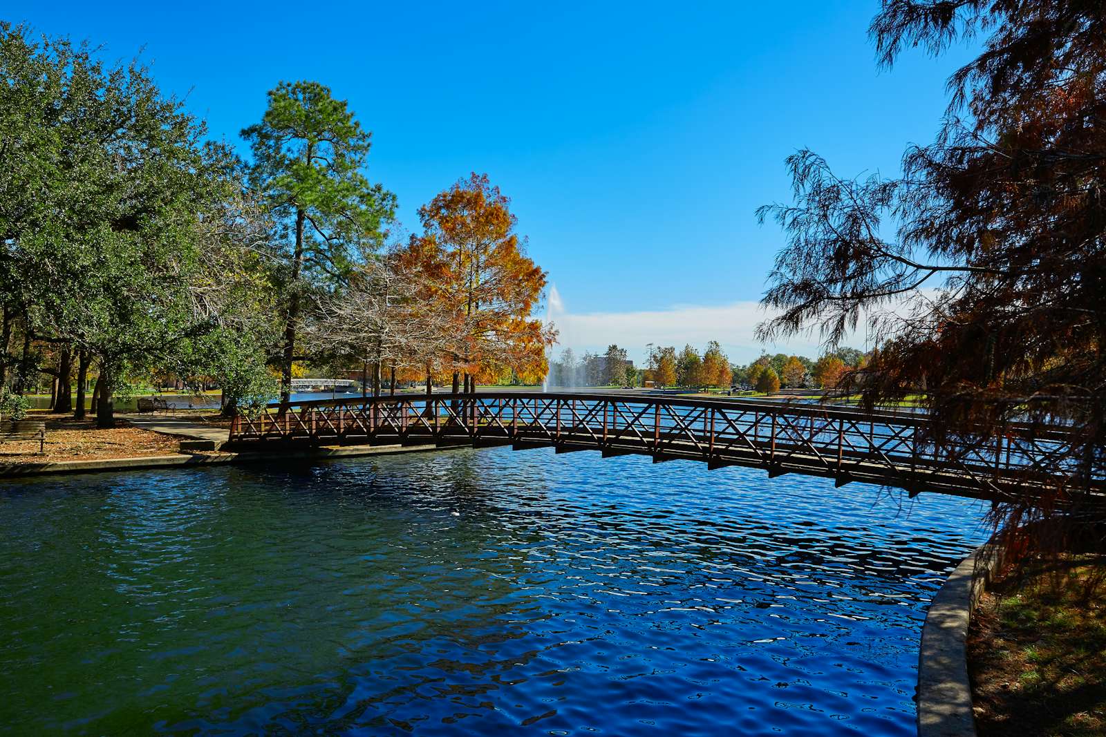 Hermann park conservancy Mcgovern lake in Houston Texas