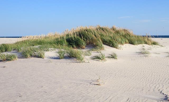 Suffolk County New York Dunes